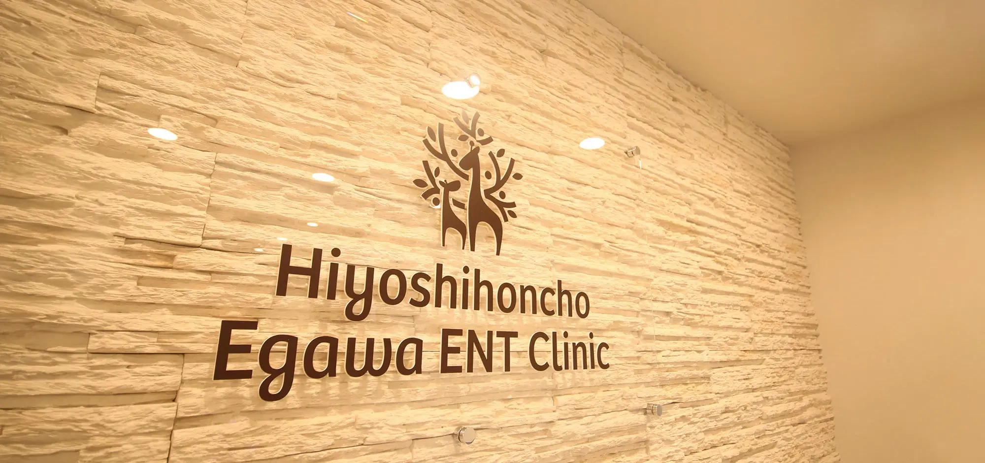 キービジュアルイメージ 青空と木々